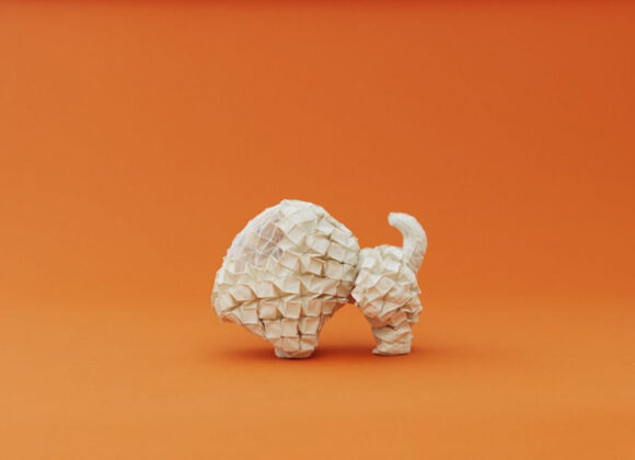 Architecture for Dogs 001