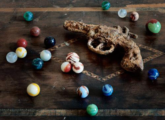 Caccia al tesoro e291