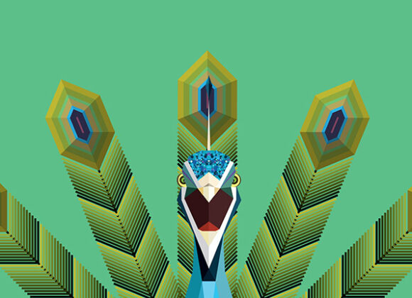 Avvistamenti esotici a NYC Animals_Loose_Birdonthetown