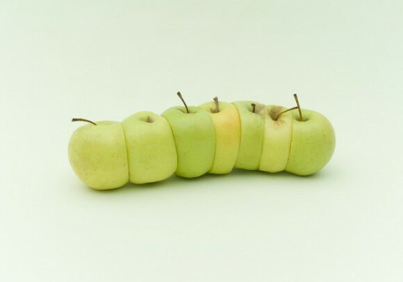 Food Photography by Florent Tanet florent-tanet-food-photography-5