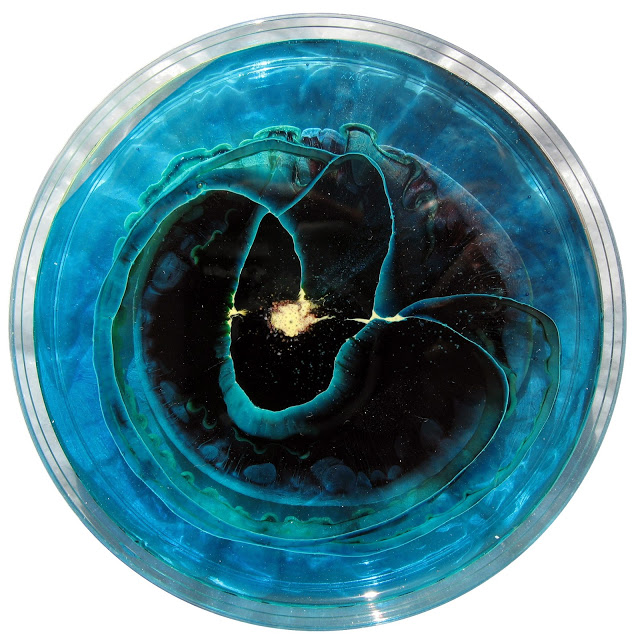 Alghe, cellule ed arte petri-7