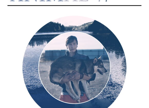 #55DSLANIMAL PHOTOCONTEST #55DSLANIMAL IMMAGINE 2