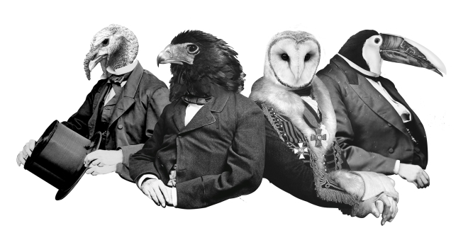 #55DSLANIMAL - and the winner is... #55DSLANIMAL WINNER