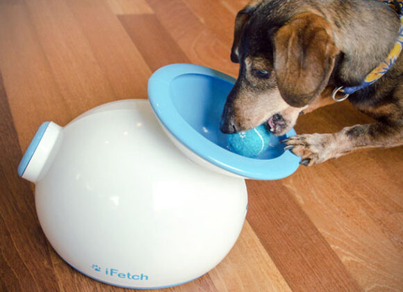 iFetch iFetch-Automatic-Ball-Launcher-for-Dogs-1