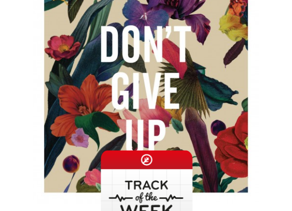 Track of the week// Don't Give Up totw-dontgiveup