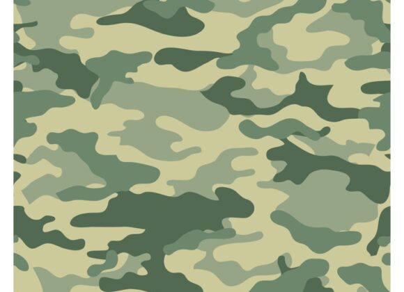 THE NEVERENDING STORY OF CAMOUFLAGE THE NEVERENDING STORY OF CAMOUFLAGE
