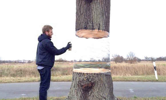 Daniel-Siering-and-Mario-Shu-tree