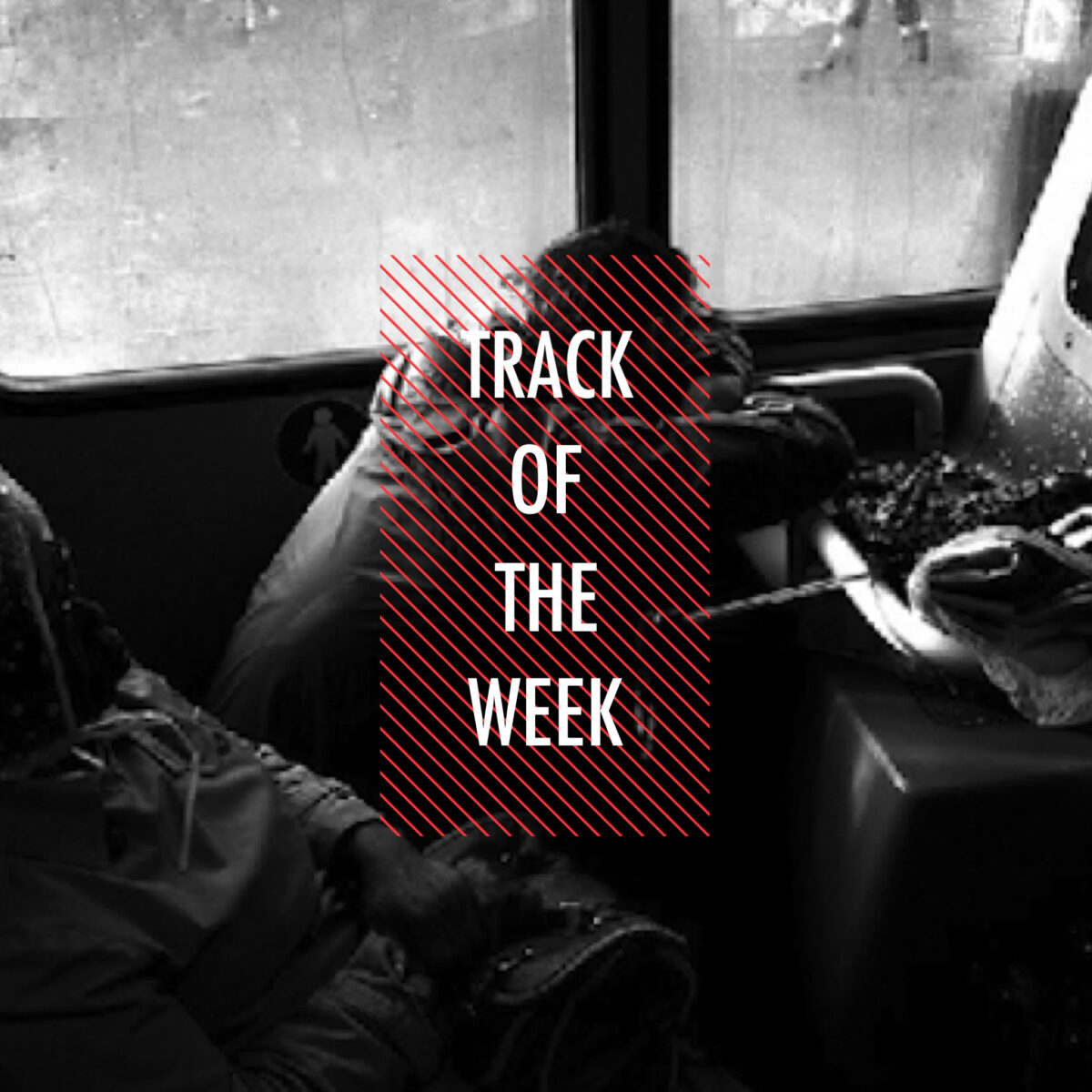 Track Of The Week// Signal Image