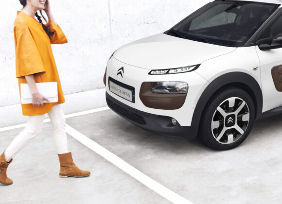 cartella-stampa-reveal-c4-cactus-cl-14002013