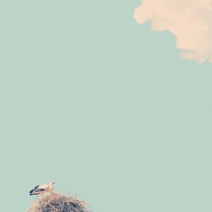 Iger of the week: o0fs0o franc