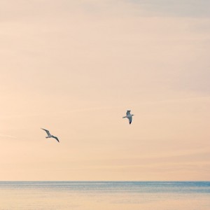 Iger of the week: o0fs0o francesc