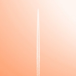 Iger of the week: o0fs0o sal