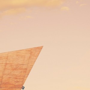 Iger of the week: o0fs0o salern