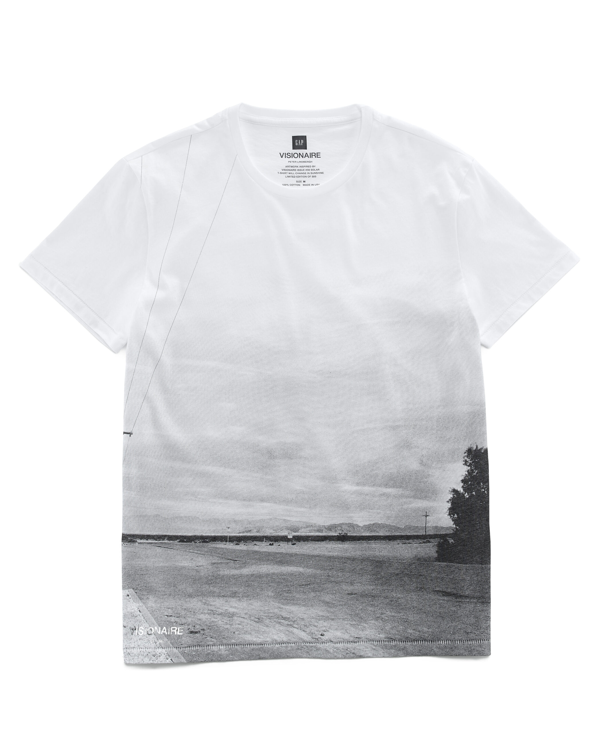 GAP e VISIONAIRE CAPSULE COLLECTION 2014.4.7-Gap30698