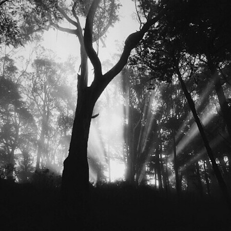 Processed with VSCOcam with b3 preset