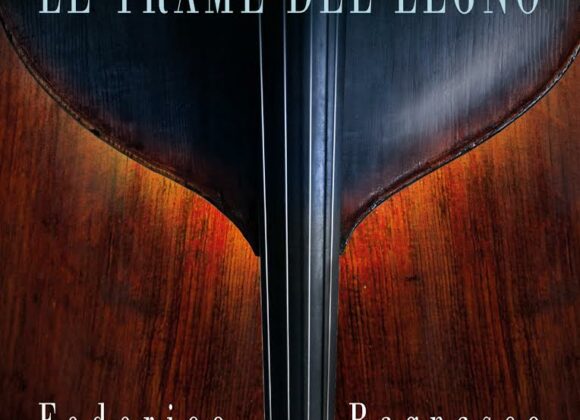 Le trame del legno copertina