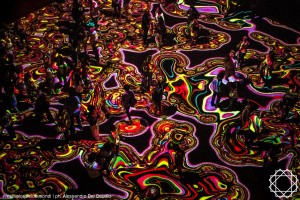 1529688_904412219588897_1640161705459594980_o