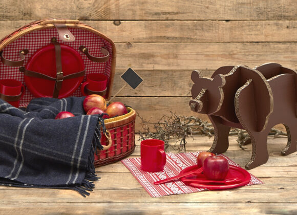 Pixartprinting Project: “Forest Walk” still_natale_orso