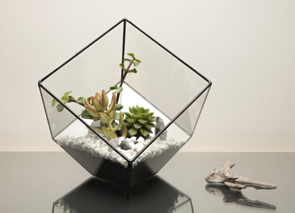 w1108_URBAN_BOTANIST-101_copy