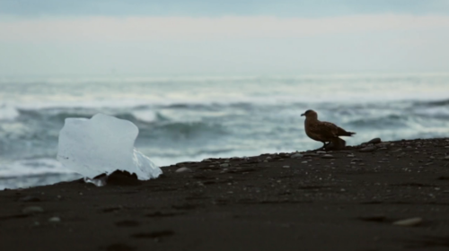 Schermata 2015-07-23 alle 17.51.33