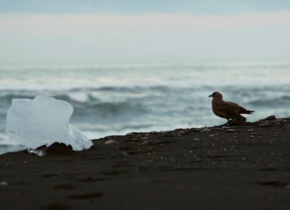 #SpiritiLiberi - In viaggio con Falconeri Schermata 2015-07-23 alle 17.51.33