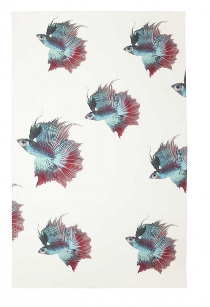 Colour Check: Fysiskt Prov (Nils Pedersen)