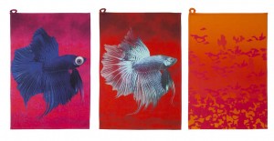 Colour Check: Fysiskt Prov (Nils Pedersen)