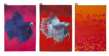 Colour Check: Fysiskt Prov (Nils Pedersen)