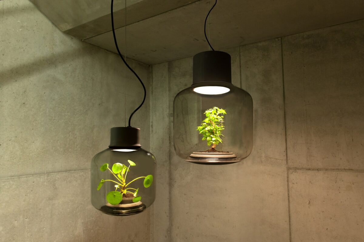 Mygdal Plant Light: la soluzione per crescere piante senza finestre mygdal7