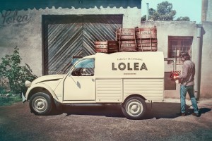 Sangria Lolea - Polkadot