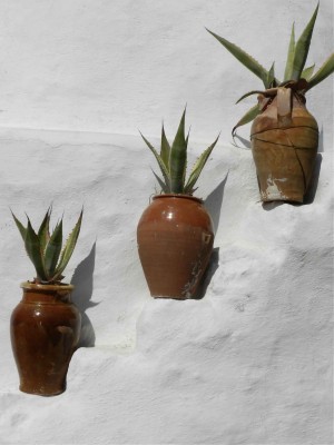 #FATTOAMANO - La moda Made in Italy tra gli ulivi secolari di Puglia lauascezz_2