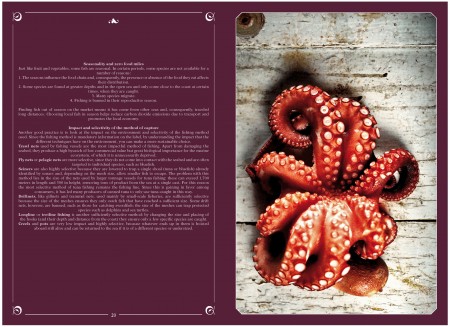 Polpo e spada 1754_2772