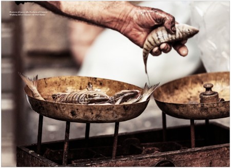 Polpo e spada 1754_2774