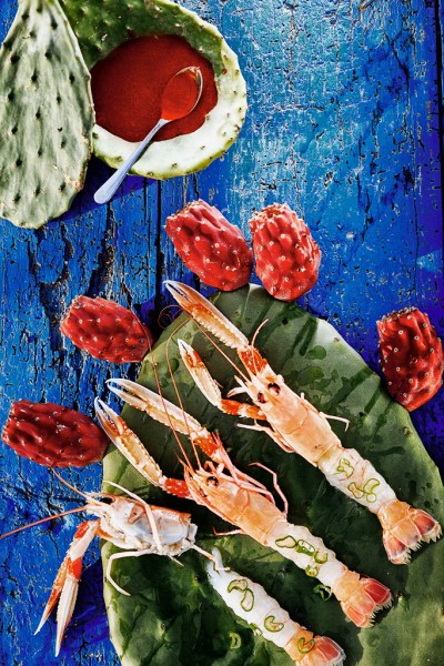 Polpo e spada polpo-e-spada-catch-of-the-day_scampi