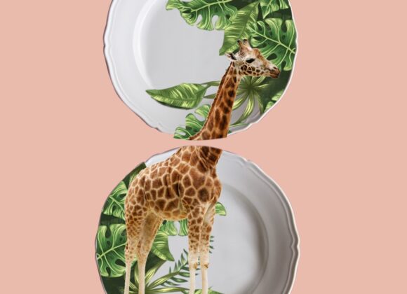 I piatti decorati di DAMELIA DAMELIA_8_