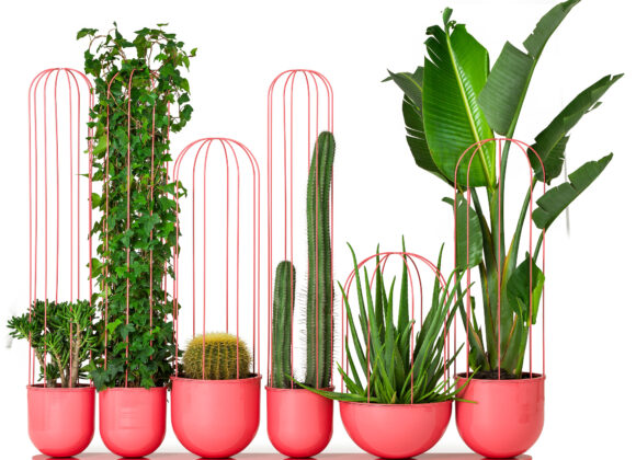 Cacti Planters, i vasi per cactus ispirati a Frida Kahlo Cacti planter2_Nola_web_1920px