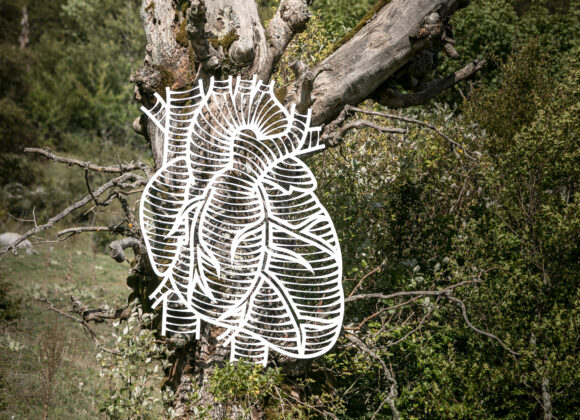 ARTEPARCO_Marcantonio_Animale-Vegetale (Il Cuore)_04