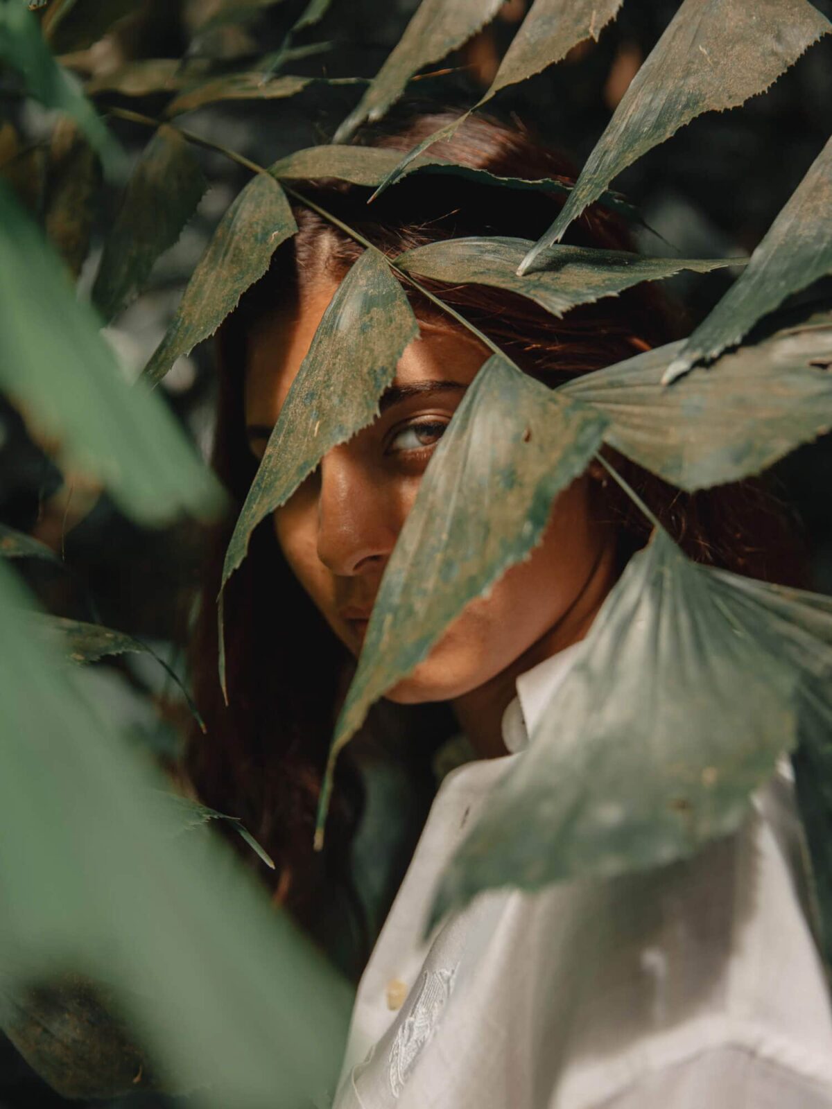 Exploring the Columbia River Gorge image-01