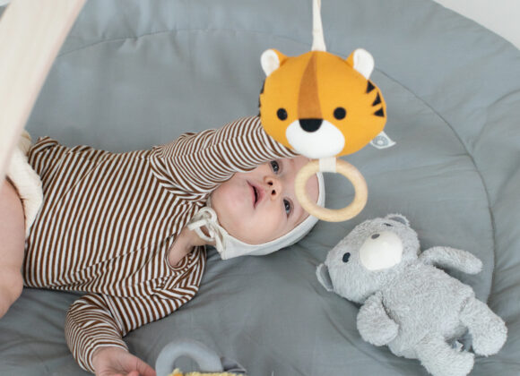 4-BabySpyder-Lonni-tiger