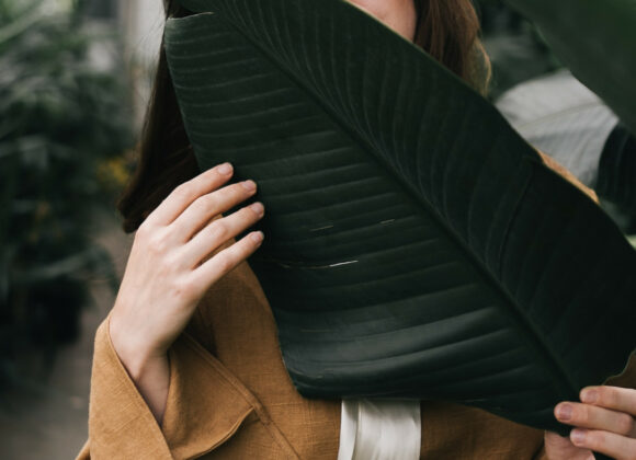 Since You Need A Green Light image-2951-new