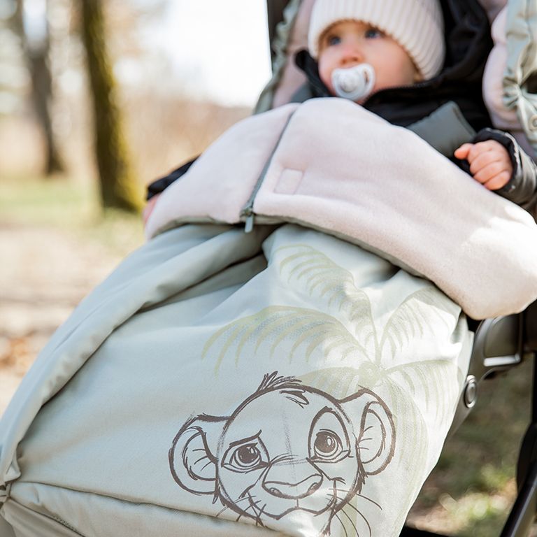 disney collaboration