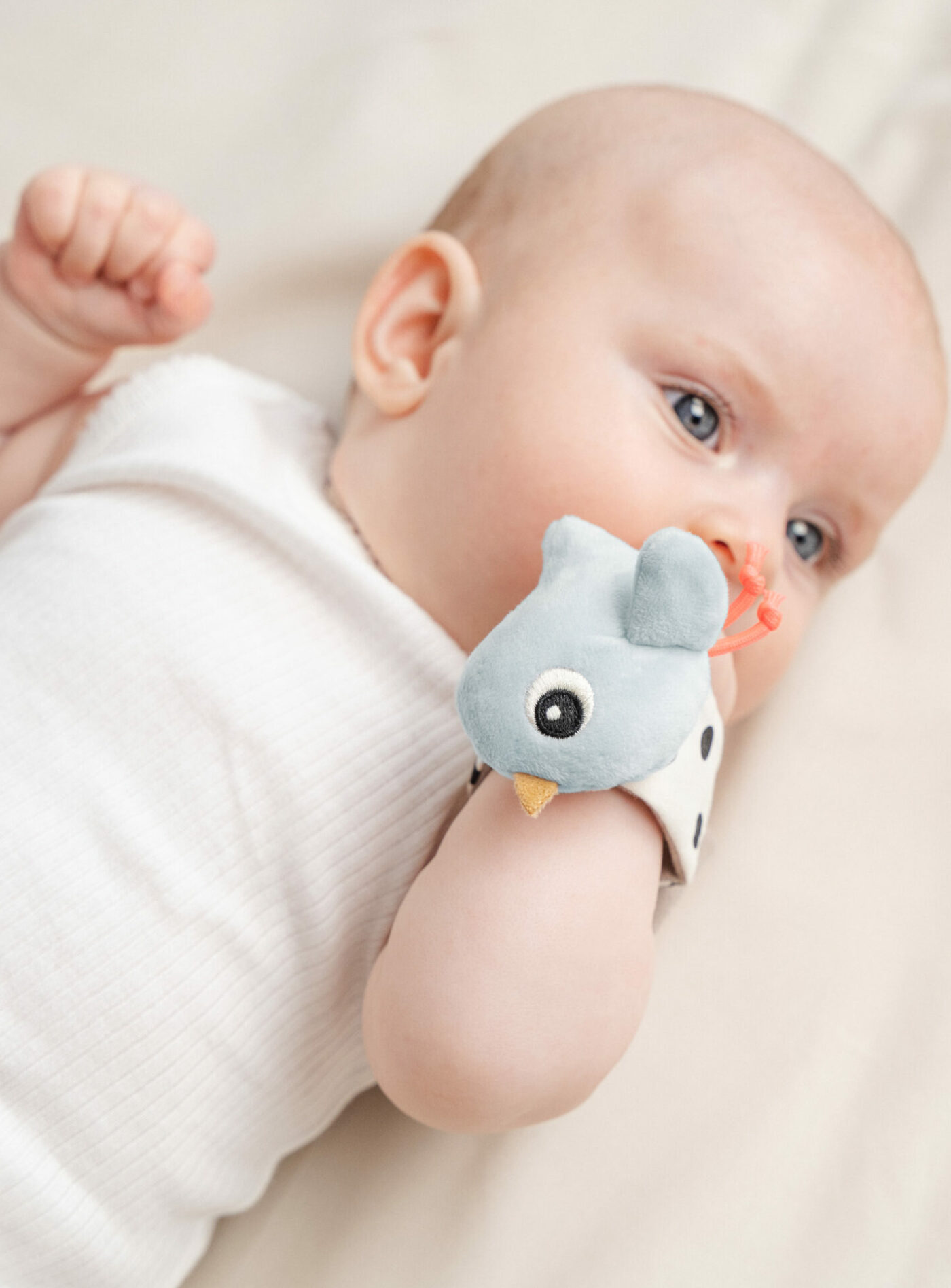 wrist-rattle-blue_00795_hrs