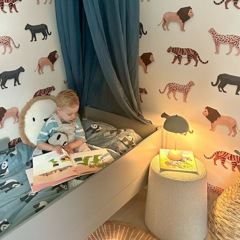 458282125_382413618056371_5300415143927037315_n