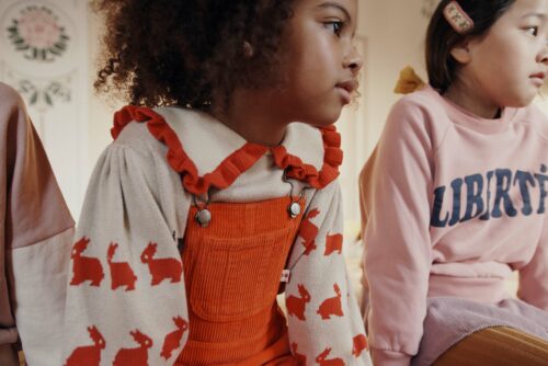 EMILE IDA AA123 AA176