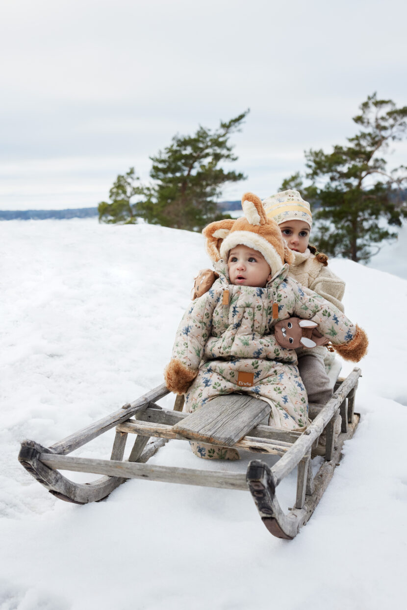 7333222021731-50510205421DC-Baby-Overall-Fairytale-Forest-LP (2)