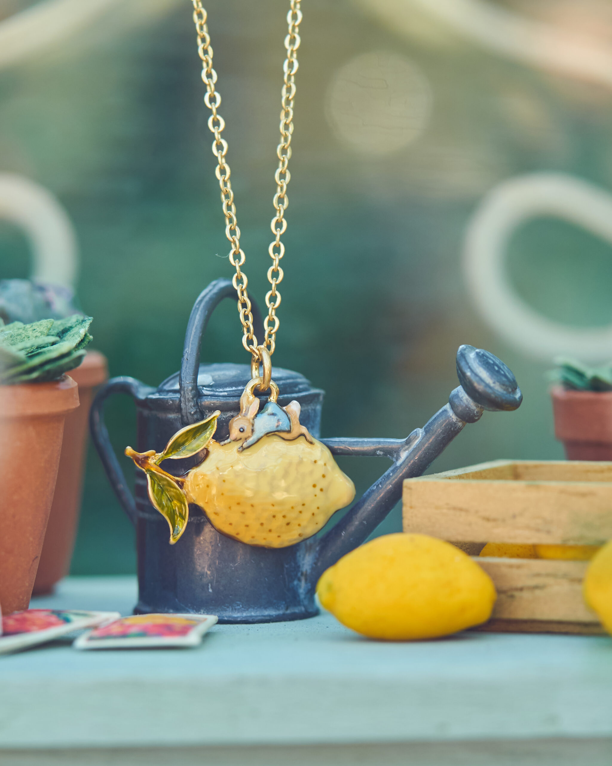 Fable England x Peter Rabbit: storie da indossare OLYMPUS DIGITAL CAMERA