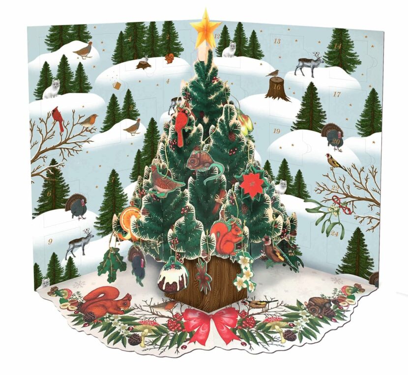 81AsF2dxq+L._SL1500_