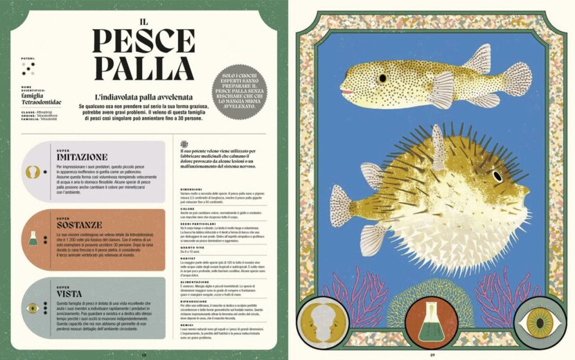 71+8QAhRJRL._SL1500_