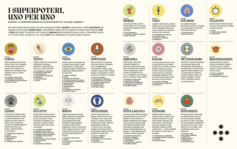 71sUVAHQhEL._SL1500_