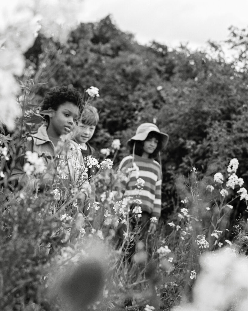 FLOWERFIELD_29_FEEDSIZE